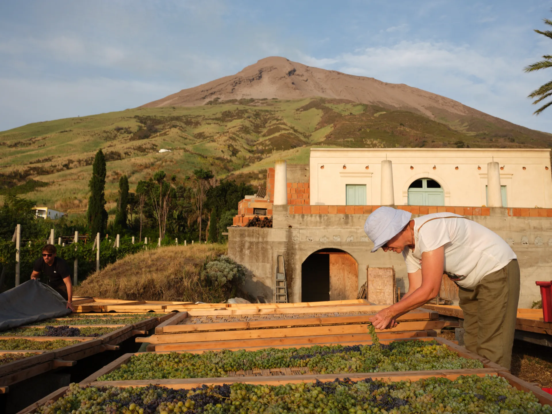 Vigneti e cura della malvasia a Stromboli