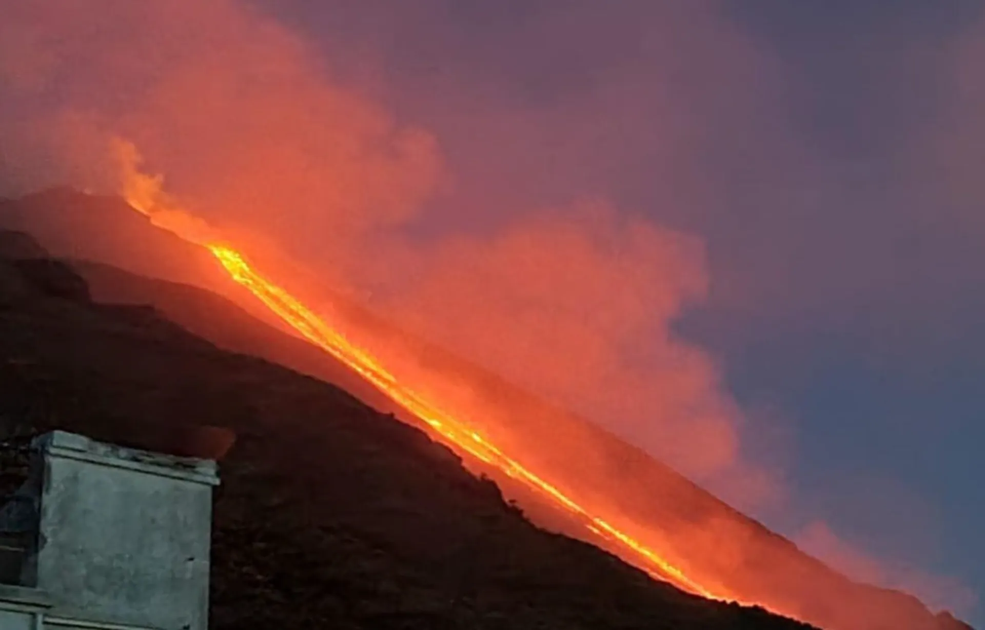 Malvasia alle pendici di un vulcano attivo — dettaglio 1