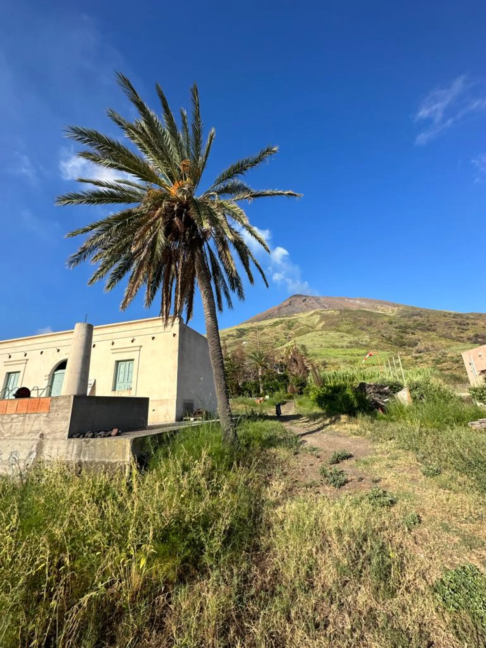 Malvasia alle pendici di un vulcano attivo