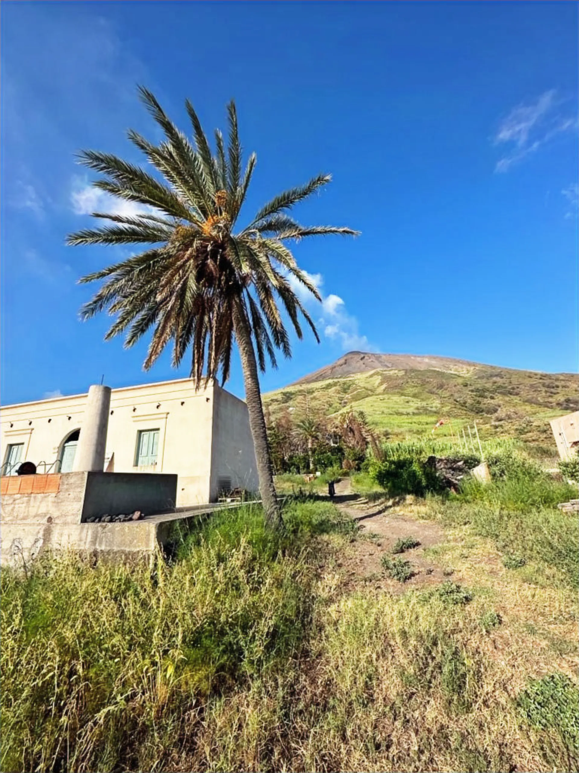 Angolo di Stromboli tra mare e vigneto